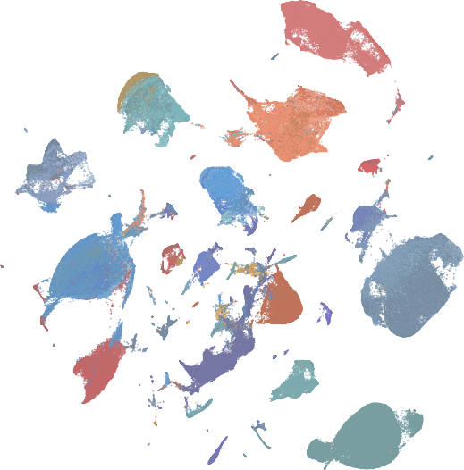 Real CellNet cell embedding visualization, colored by cell labels